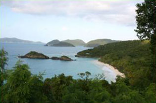 Trunk Bay St John US Virgin Islands