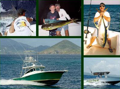 Virgin Islands Sportfishing and Fishing Charters